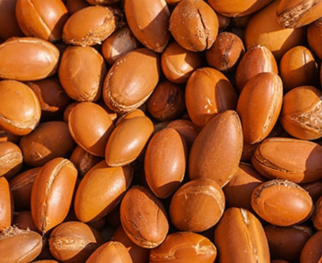 Aceite de argán